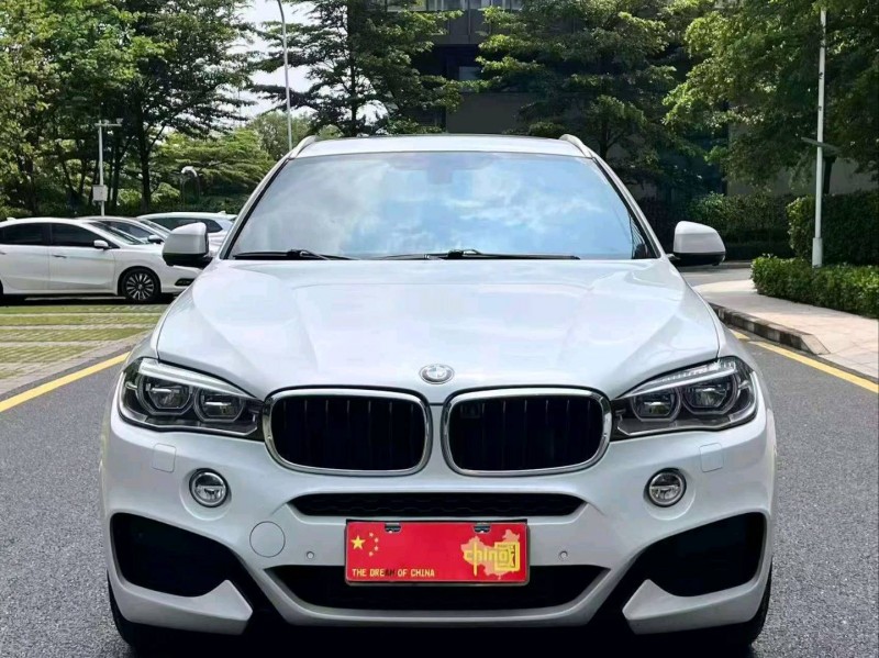 广州17年宝马X61