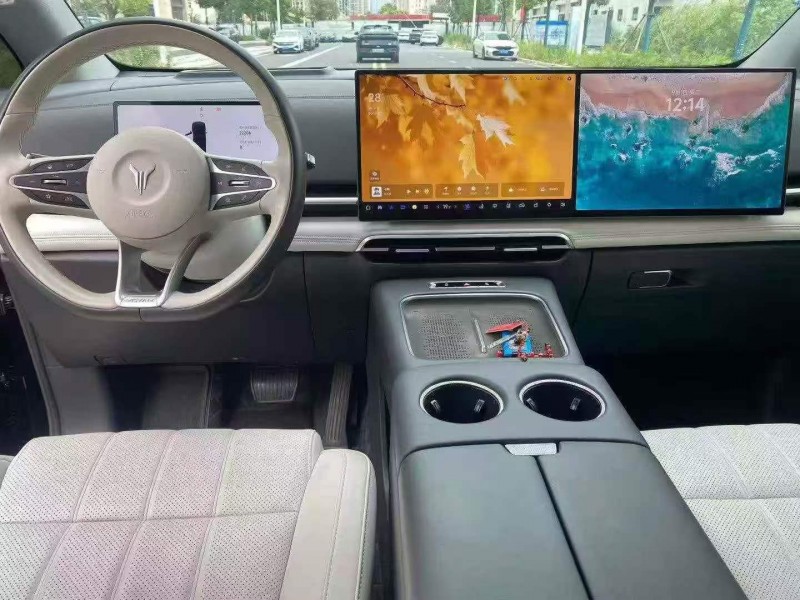 宜昌25年嵐圖汽車夢想家5