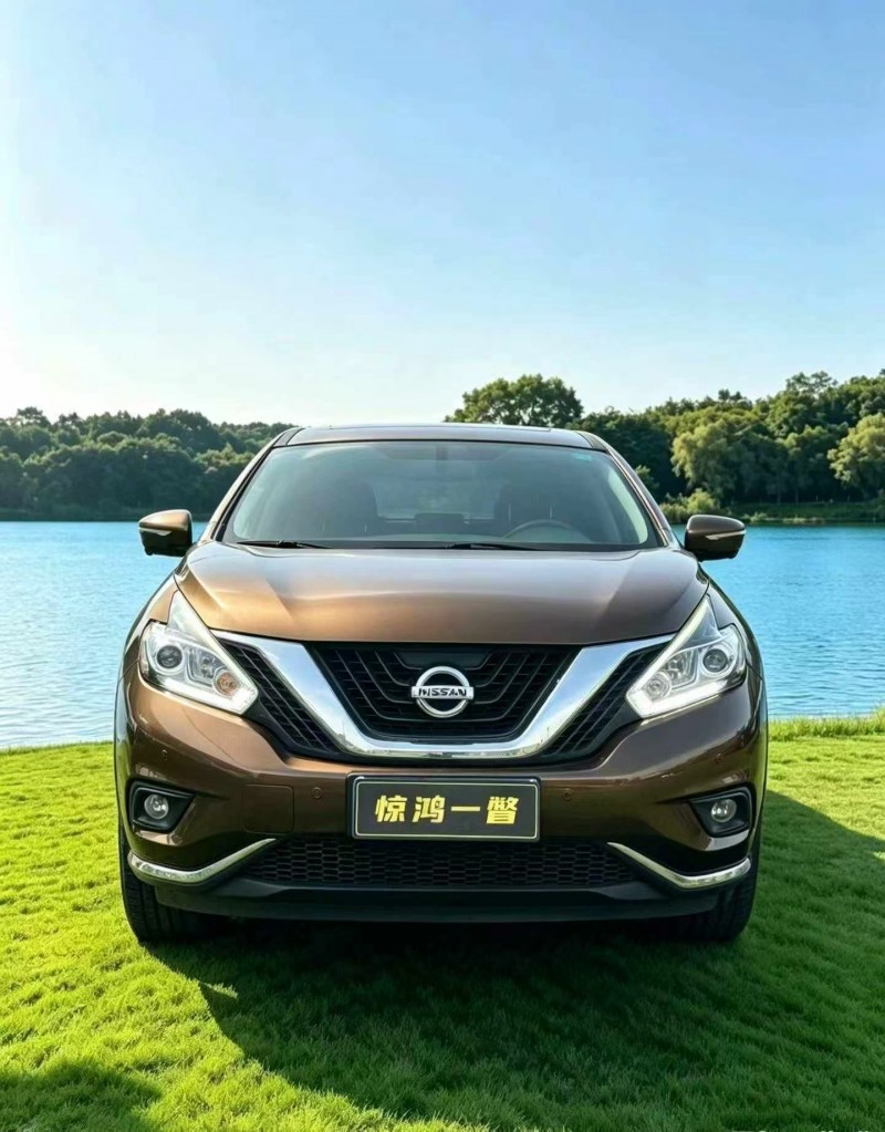 深圳19年日產樓蘭1