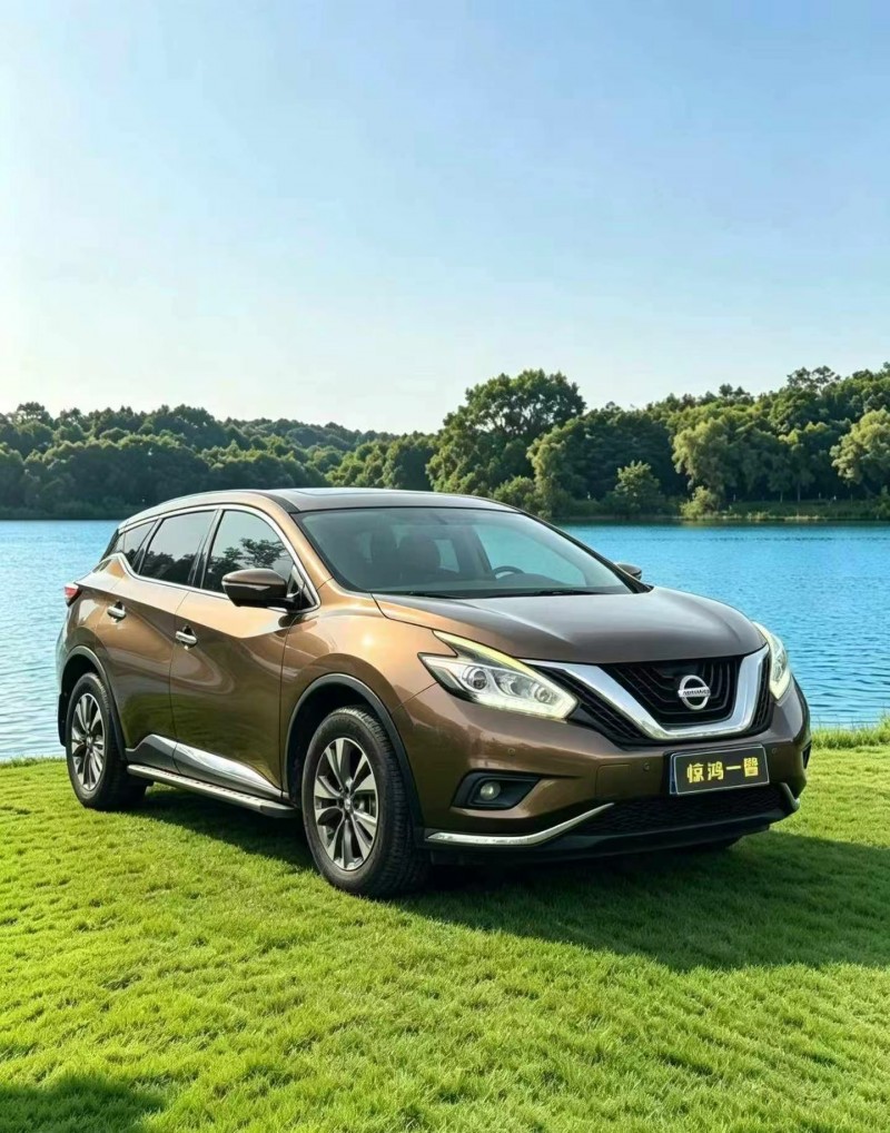 深圳19年日產樓蘭2