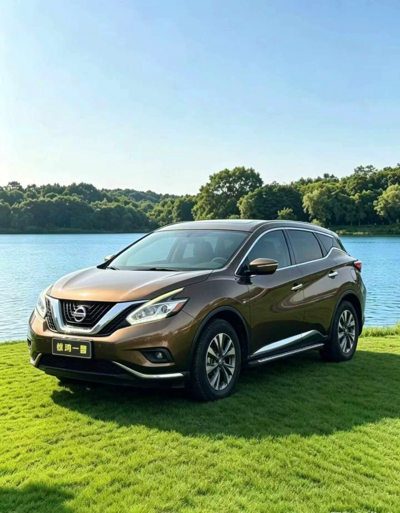 深圳19年日產樓蘭3