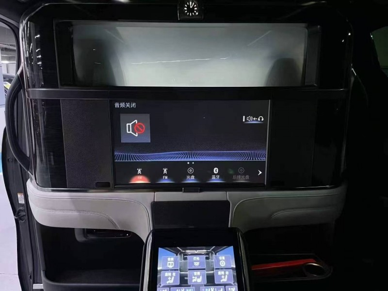 深圳20年雷克薩斯LM300H5