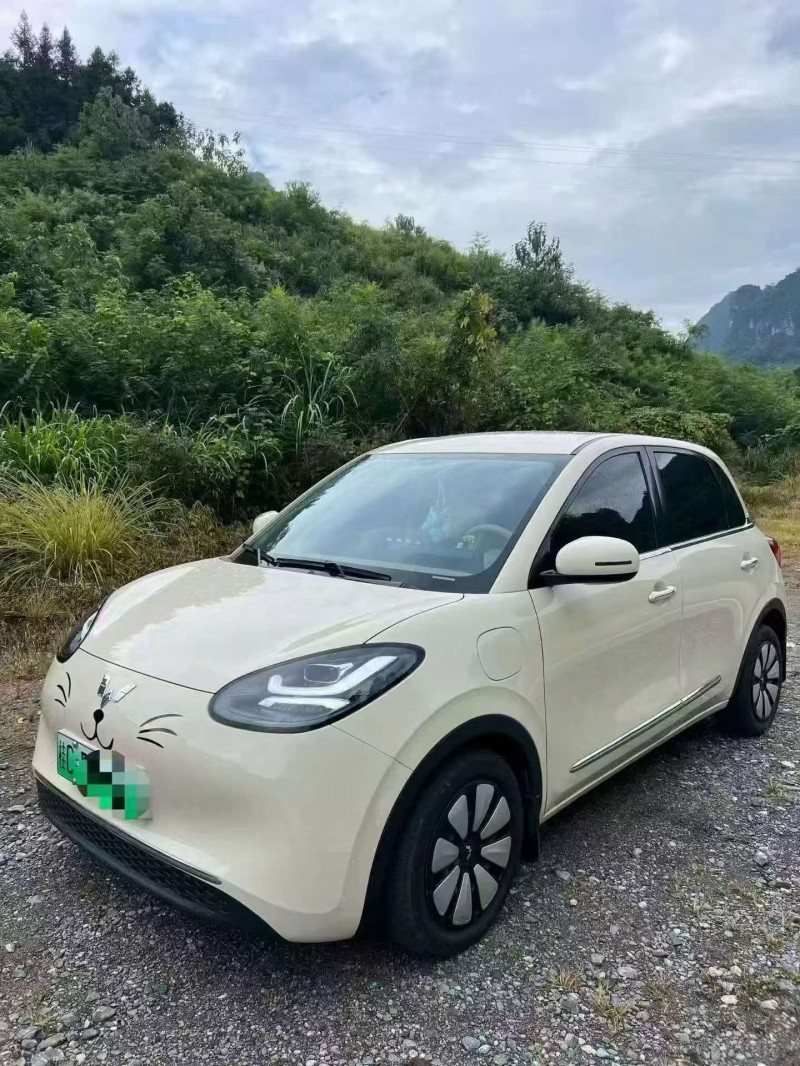 廣州25年五菱汽車繽果3