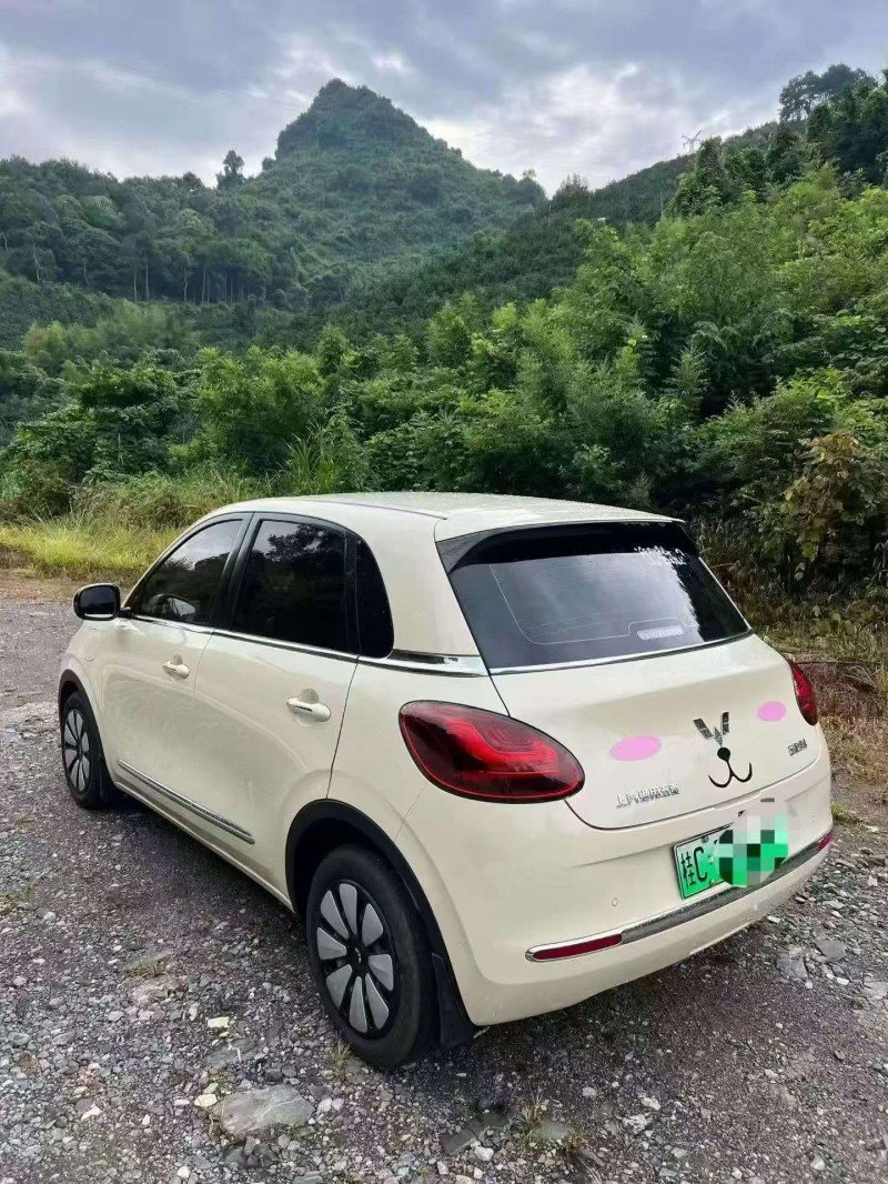 廣州25年五菱汽車繽果8