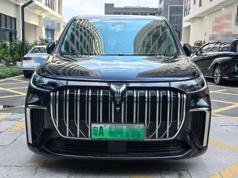 深圳24年嵐圖汽車夢想家1