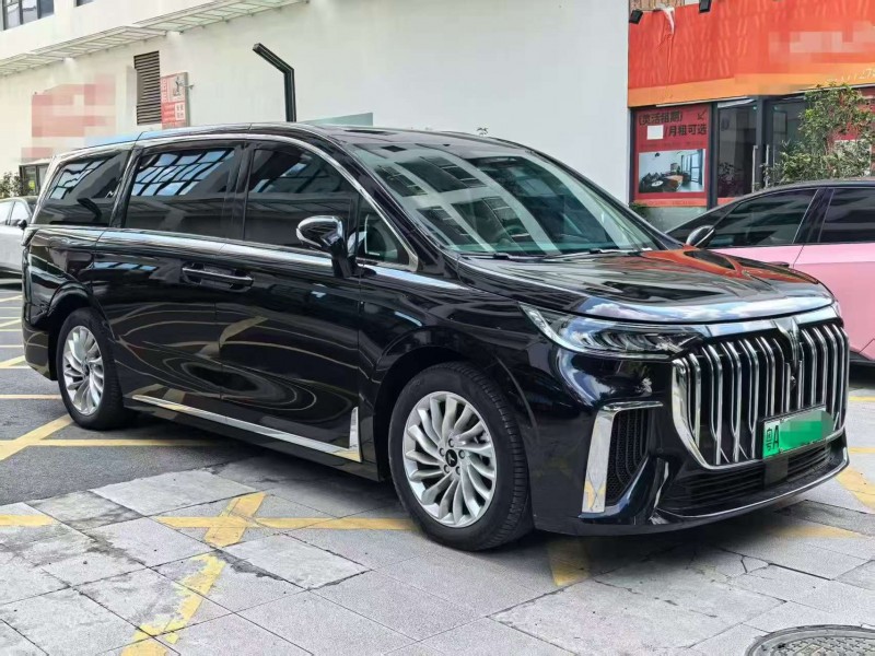 深圳24年嵐圖汽車夢想家3