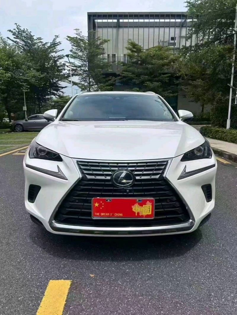 廣州19年雷克薩斯NX1