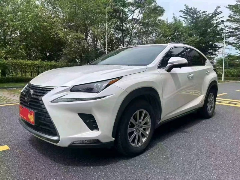 廣州19年雷克薩斯NX3