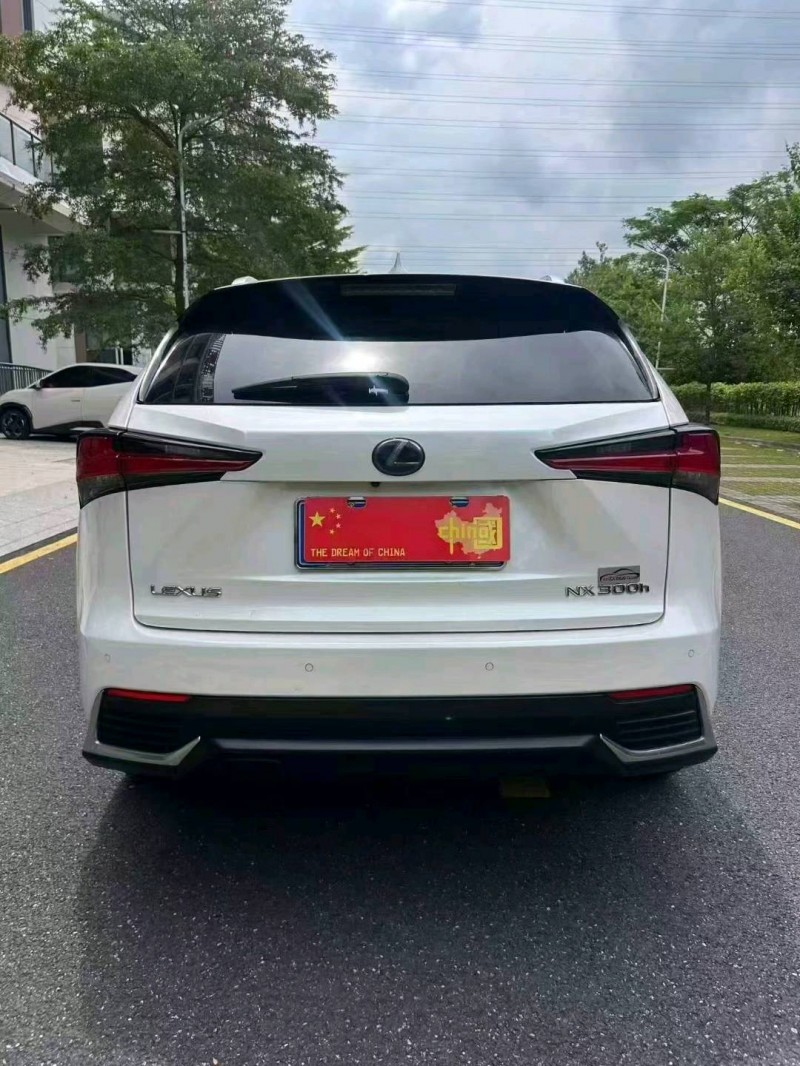 廣州19年雷克薩斯NX7