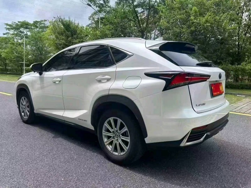 廣州19年雷克薩斯NX8