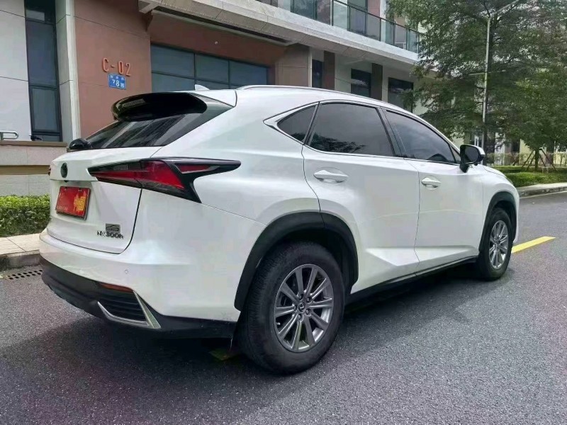 廣州19年雷克薩斯NX9