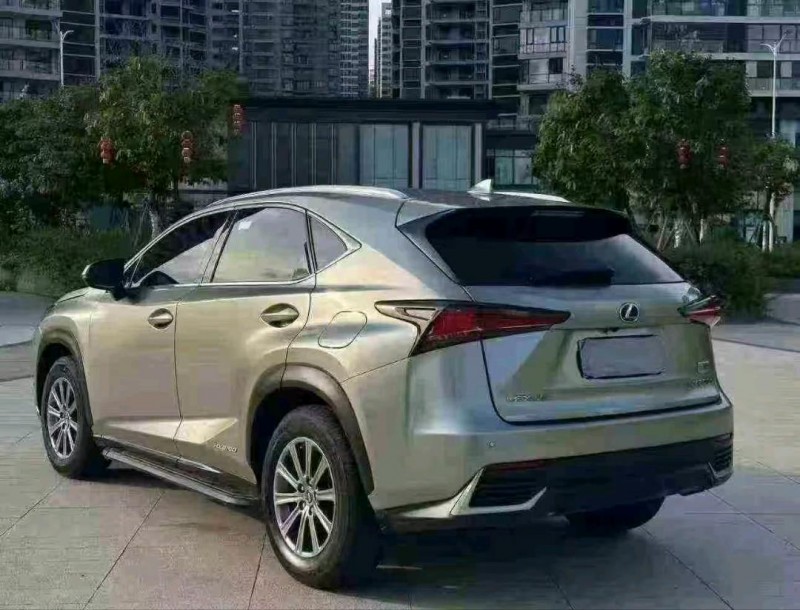 廣州18年雷克薩斯NX8