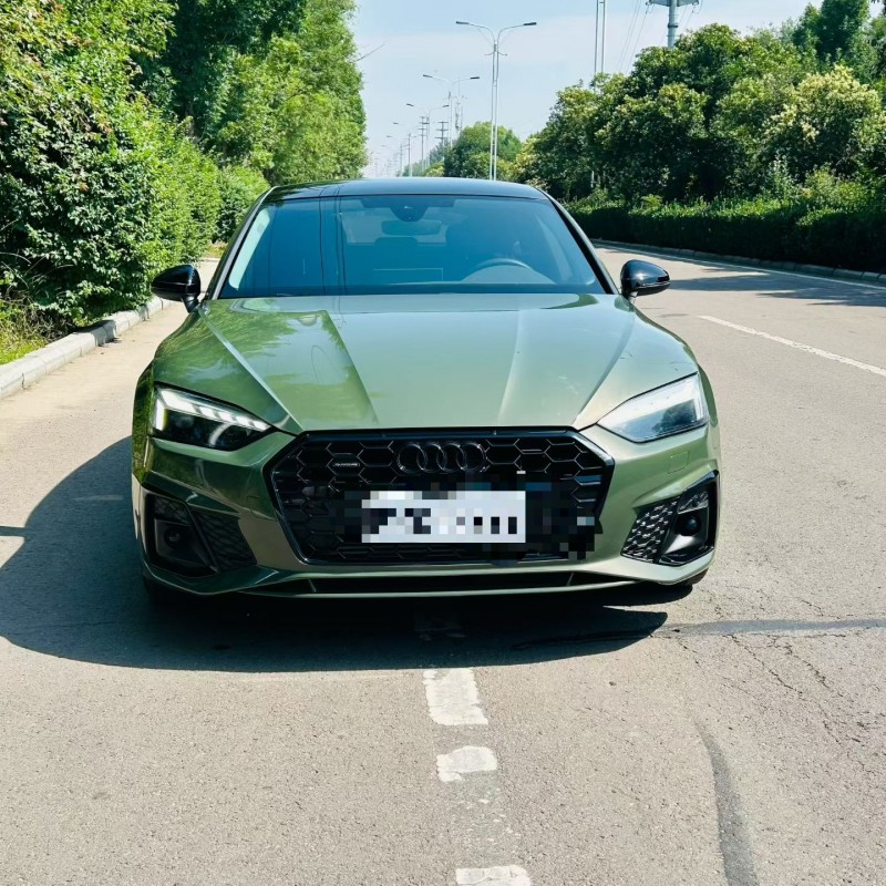 聊城25年奧迪A51