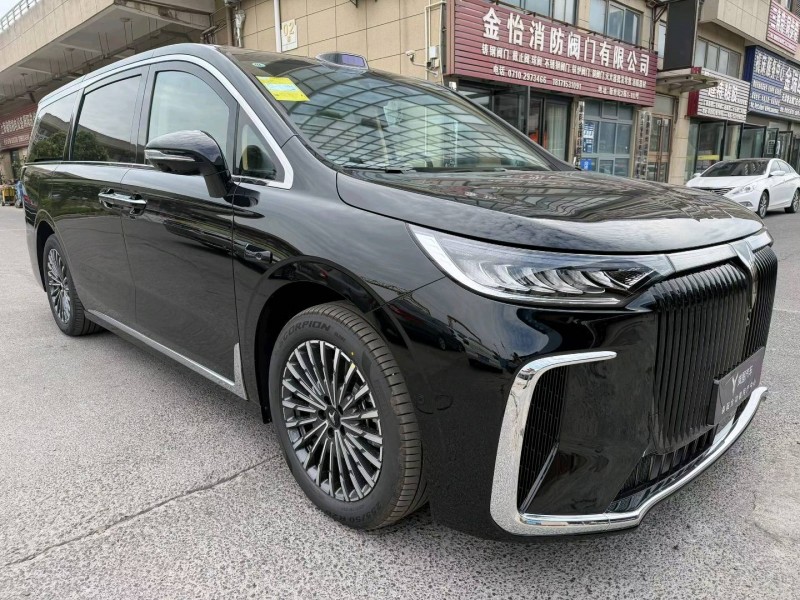 襄陽26年嵐圖汽車夢想家2