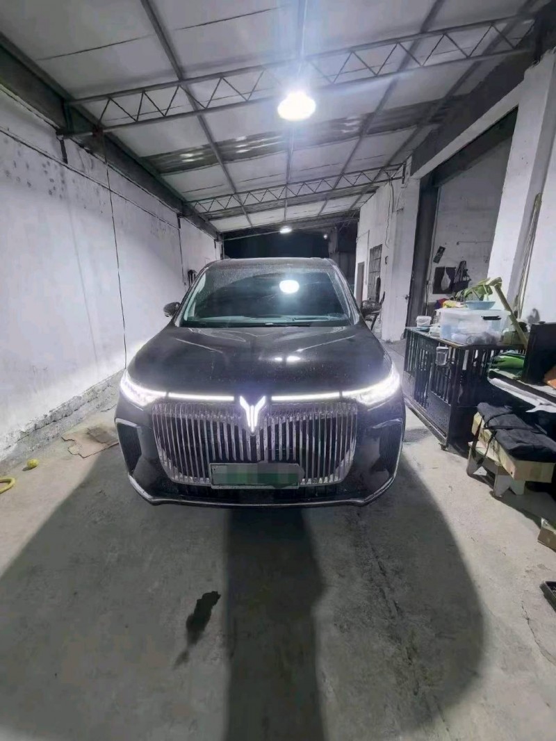 臺州26年嵐圖汽車夢想家1