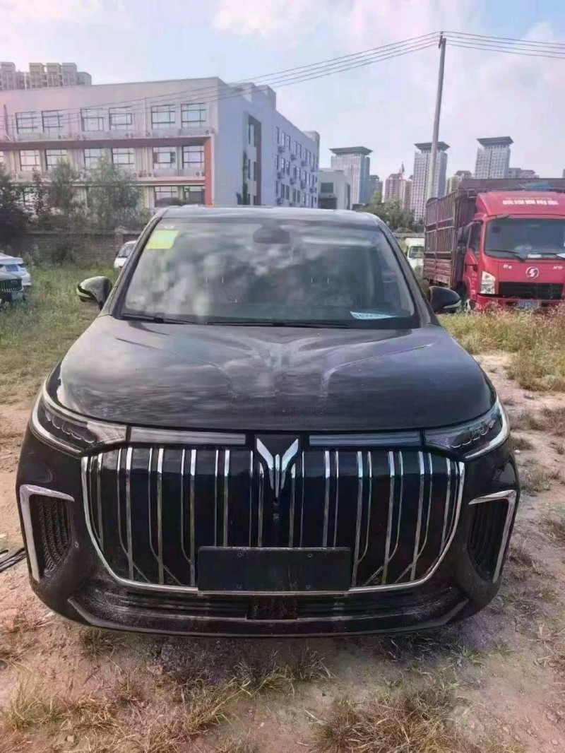 西安26年嵐圖汽車夢想家1
