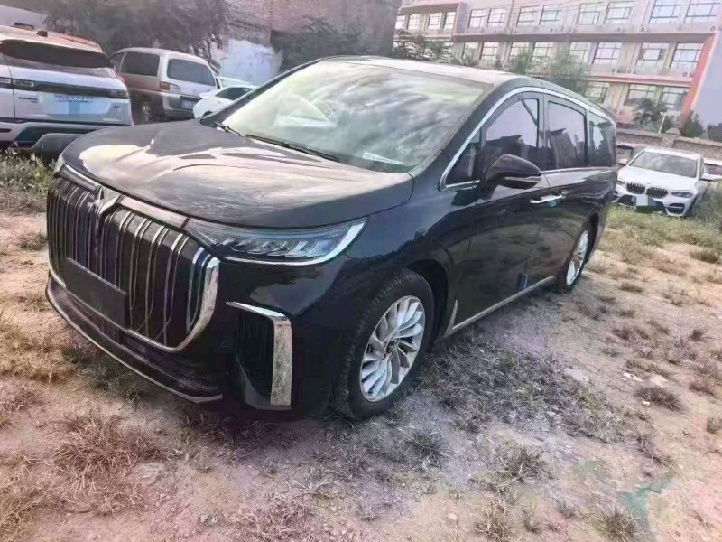 西安26年嵐圖汽車夢想家2