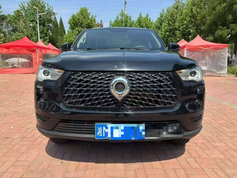 棗莊22年長城汽車炮 皮卡1