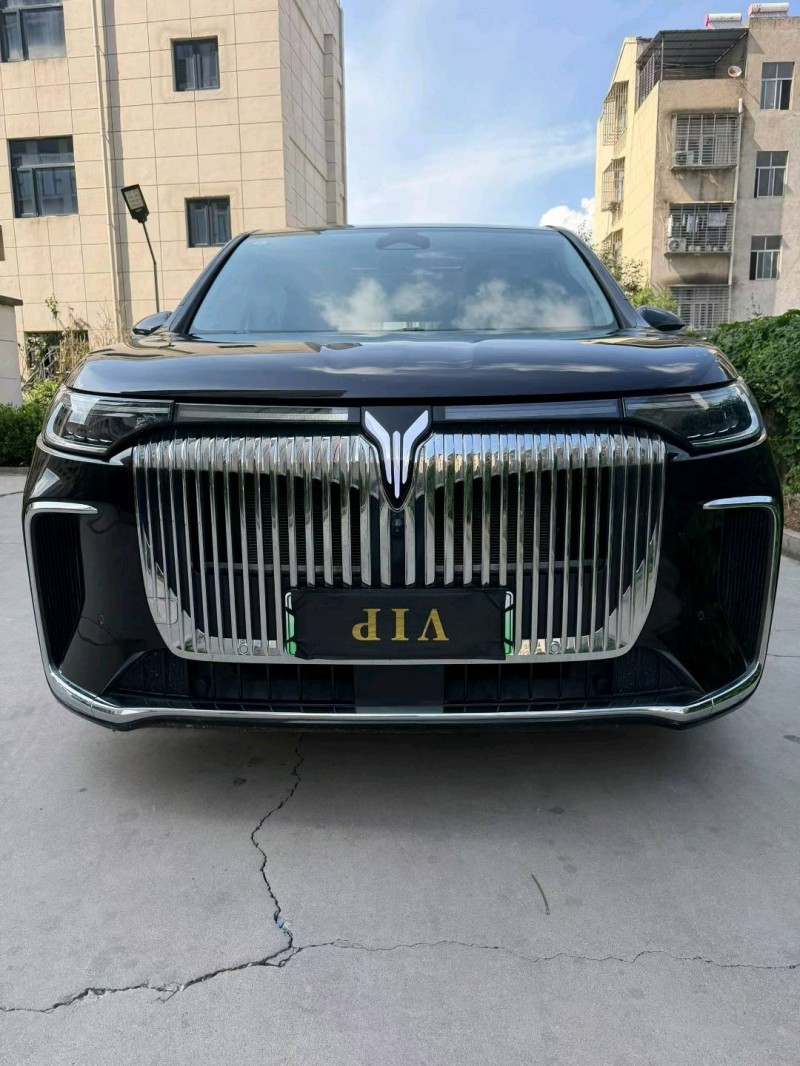 襄陽25年嵐圖汽車夢想家2
