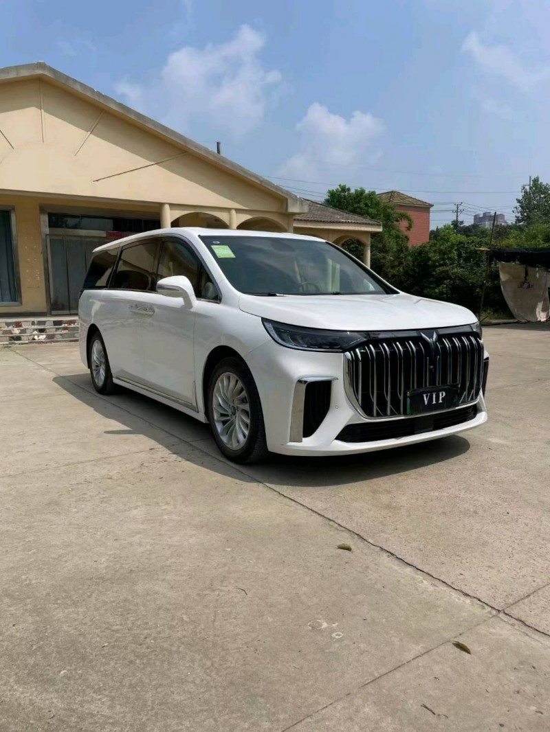 襄陽24年嵐圖汽車夢想家2