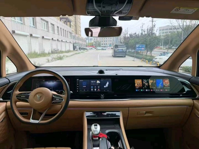 濟寧23年嵐圖汽車夢想家8