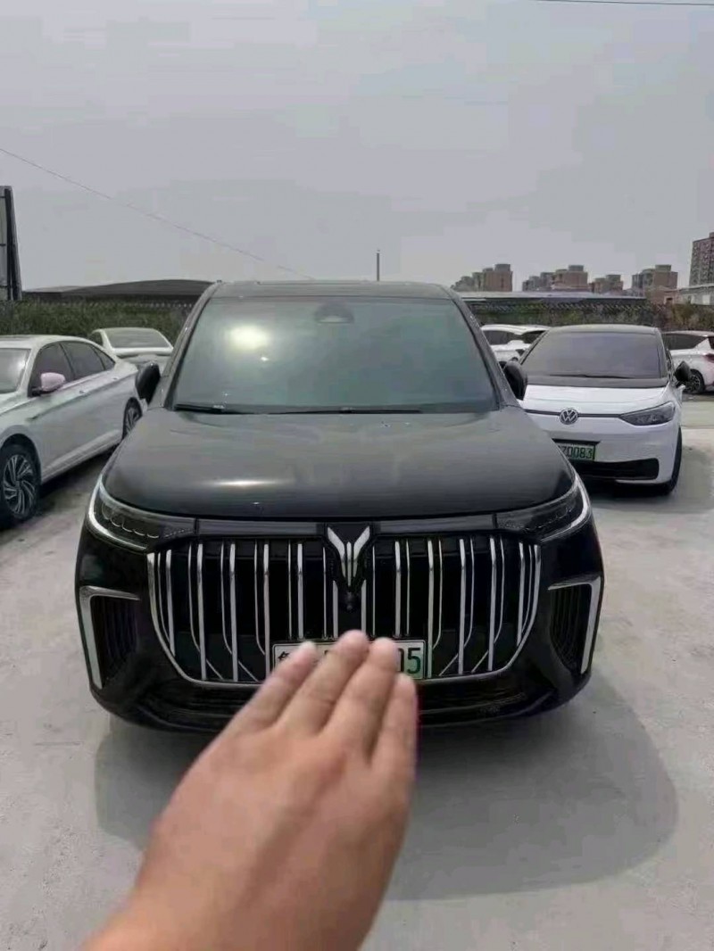 菏澤23年嵐圖汽車夢想家1