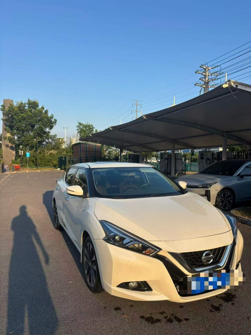 金華17年日產藍鳥4
