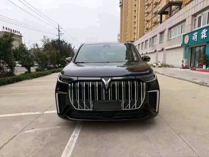 秦皇島23年嵐圖汽車夢想家1