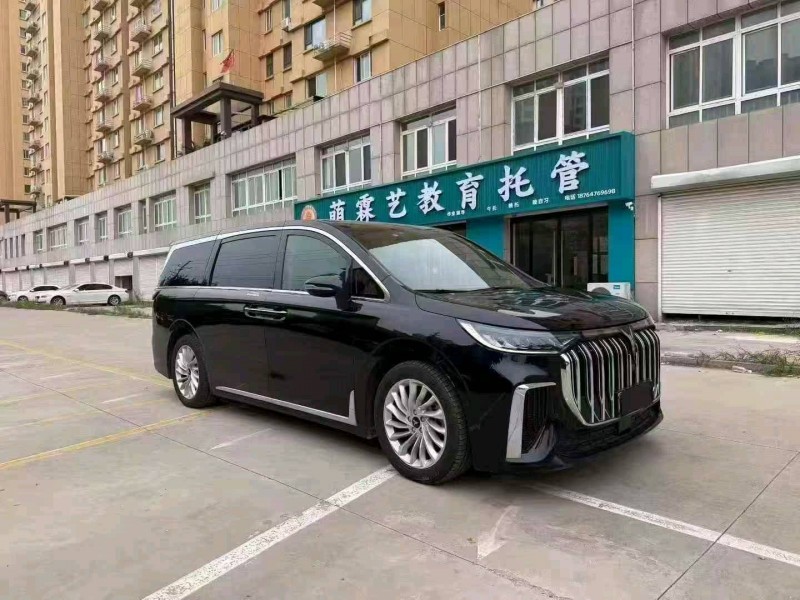 秦皇島23年嵐圖汽車夢想家2