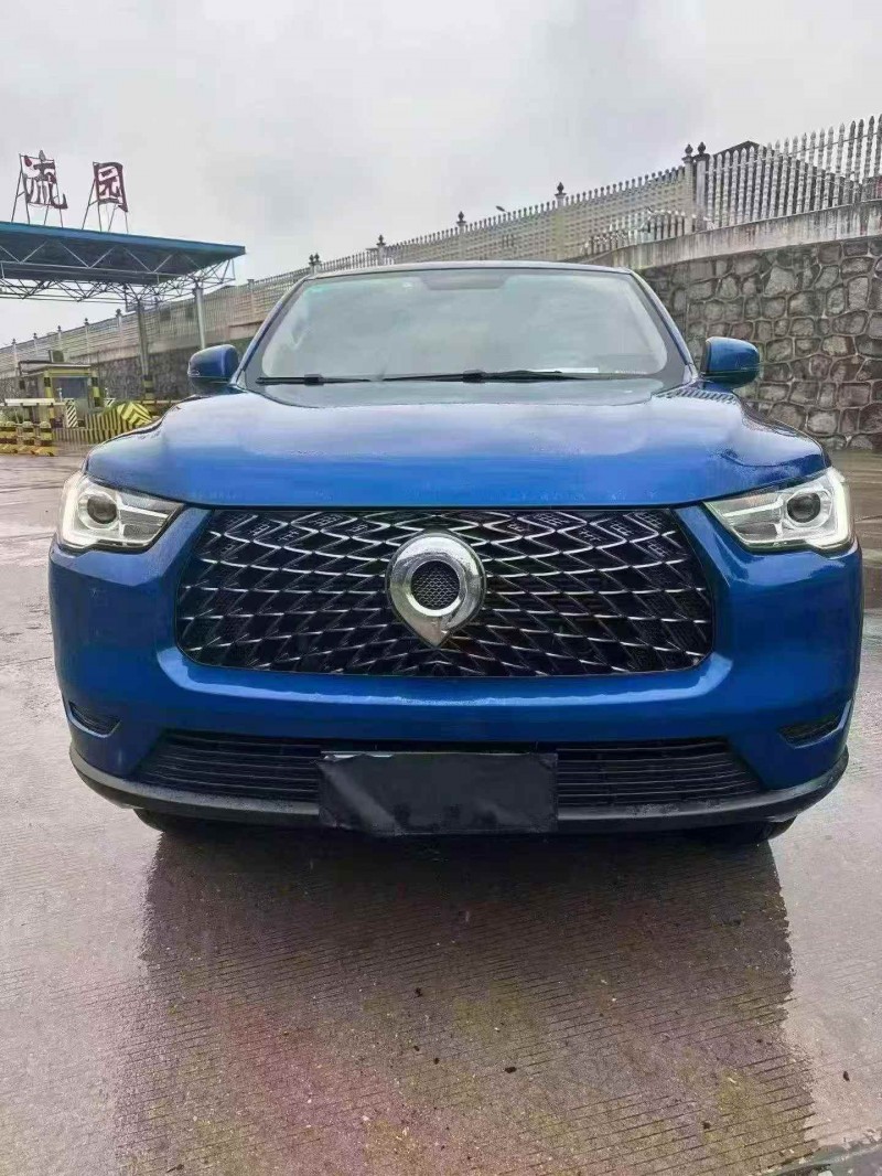 衡陽20年長城汽車炮 皮卡1