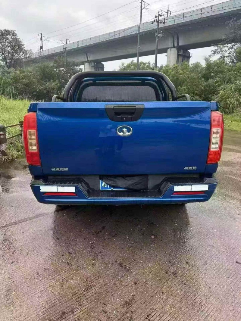 衡陽20年長城汽車炮 皮卡7