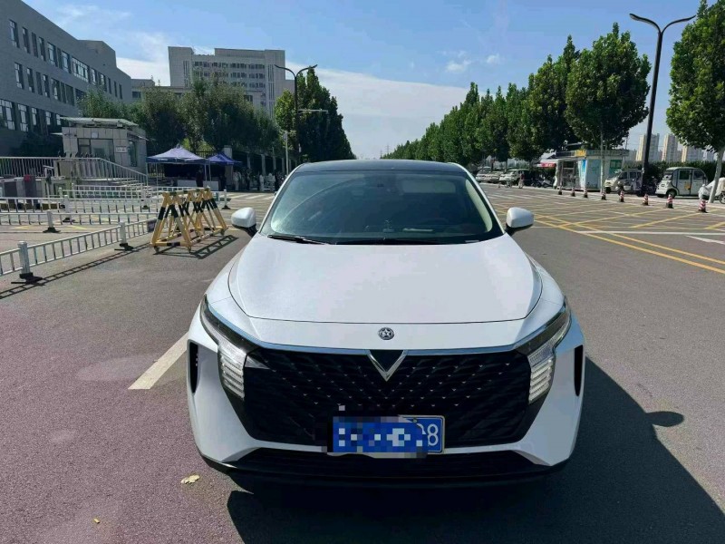 聊城23年啟辰大V1