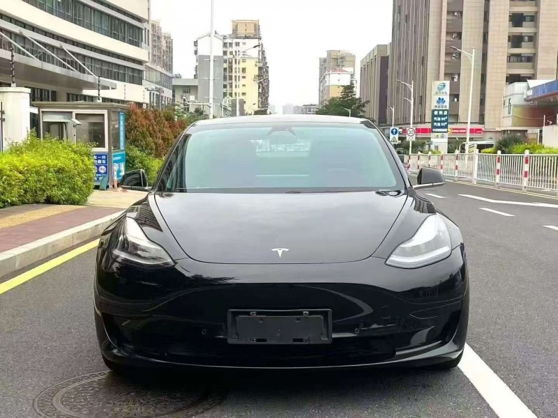 廣州20年特斯拉MODEL 31