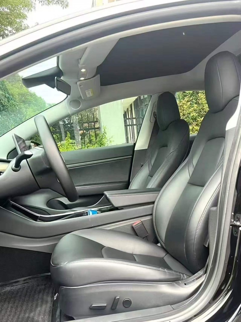 廣州20年特斯拉MODEL 34