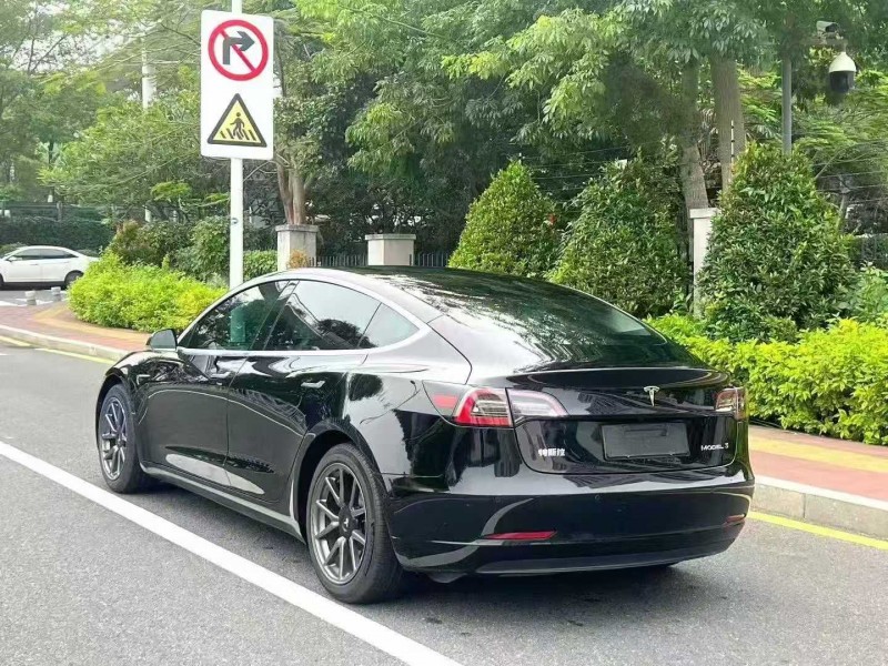 廣州20年特斯拉MODEL 37