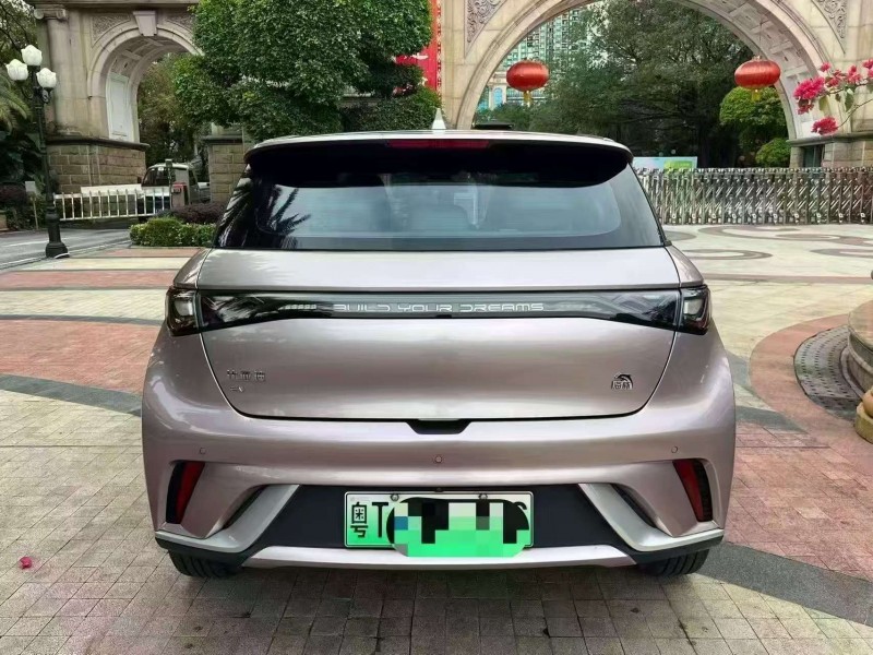 廣州23年比亞迪海豚9
