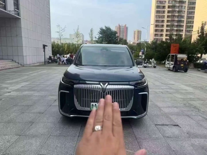 棗莊25年嵐圖汽車夢想家1