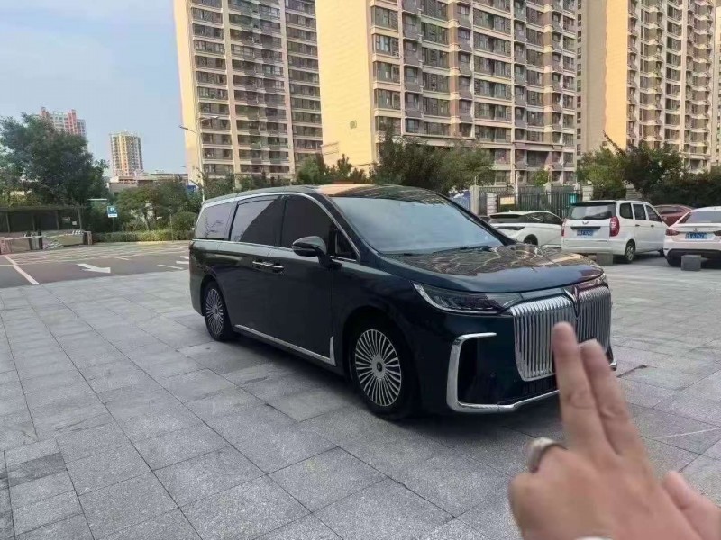 棗莊25年嵐圖汽車夢想家2