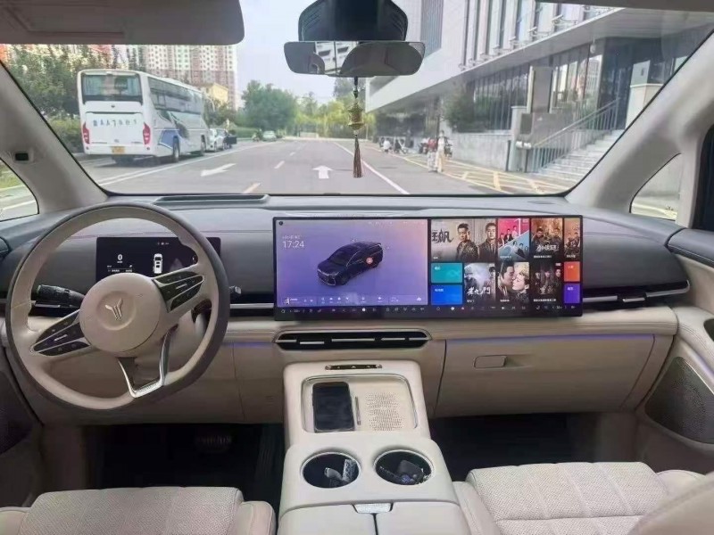 棗莊25年嵐圖汽車夢想家4