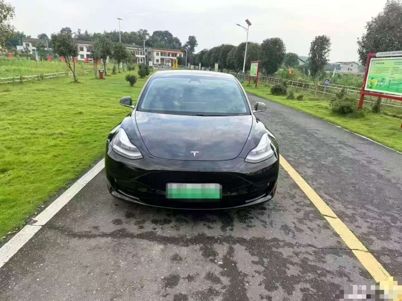 湖州20年特斯拉MODEL 31
