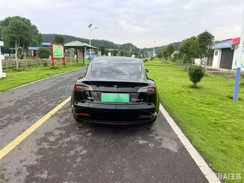 湖州20年特斯拉MODEL 39