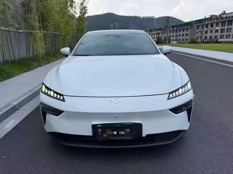 溫州24年東風奕派1