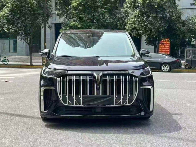 深圳23年嵐圖汽車夢想家1