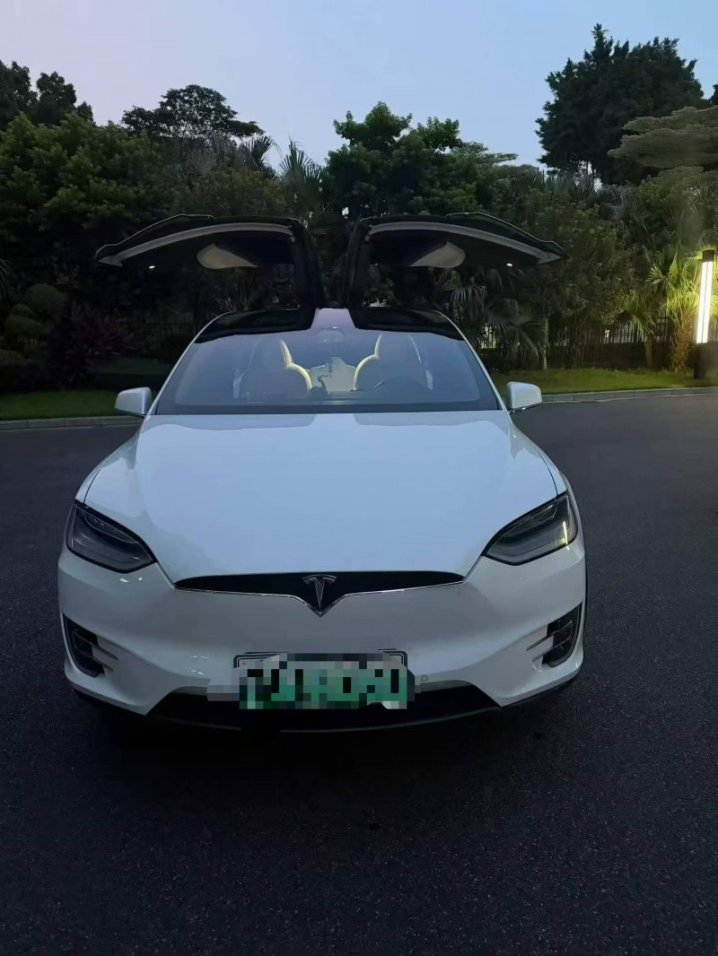 濰坊20年特斯拉MODEL X1