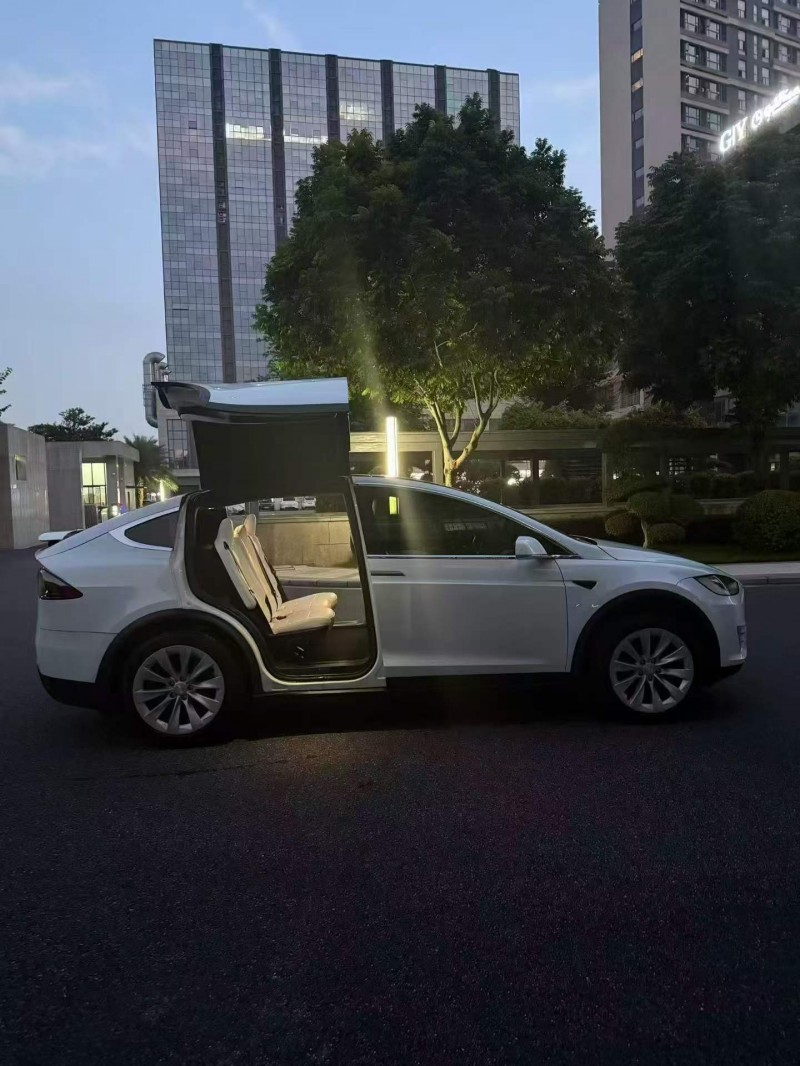 濰坊20年特斯拉MODEL X4