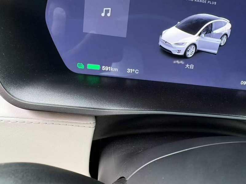 濰坊20年特斯拉MODEL X8