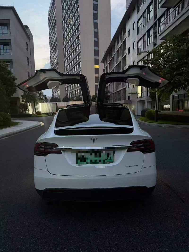 濰坊20年特斯拉MODEL X9