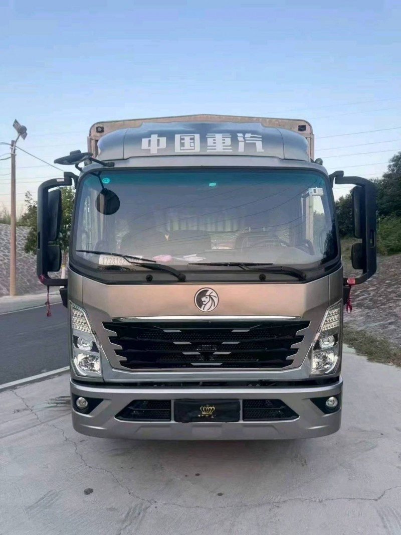 鶴壁25年卡車系列重汽王牌1