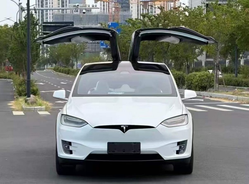 淄博20年特斯拉MODEL X1