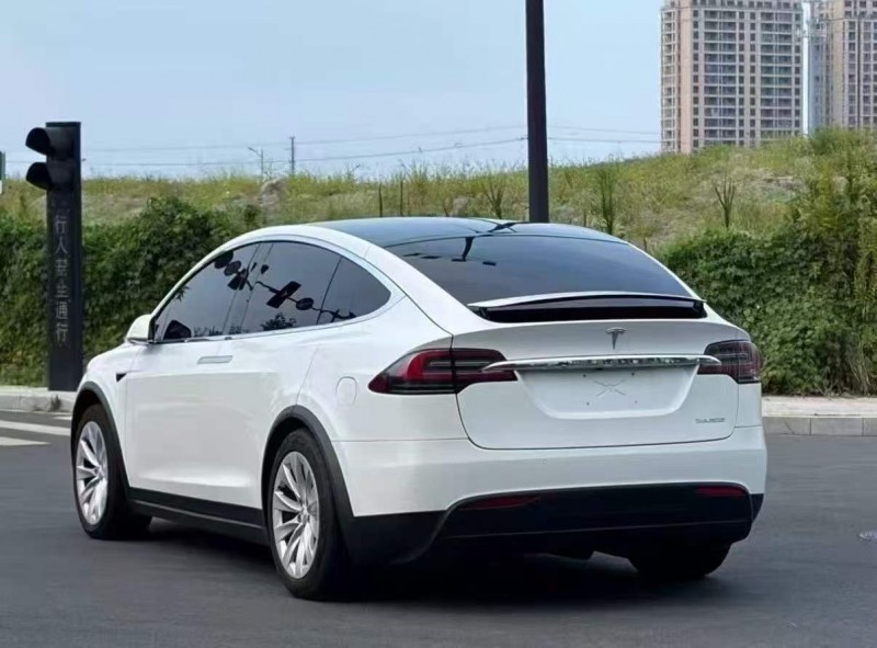 淄博20年特斯拉MODEL X3